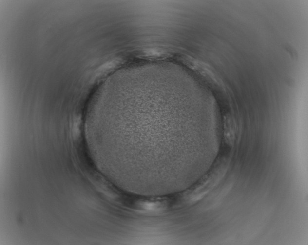 X0000113880563200910081749