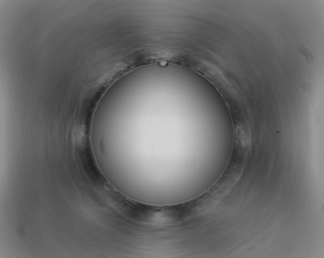 X0000113880564200910081749