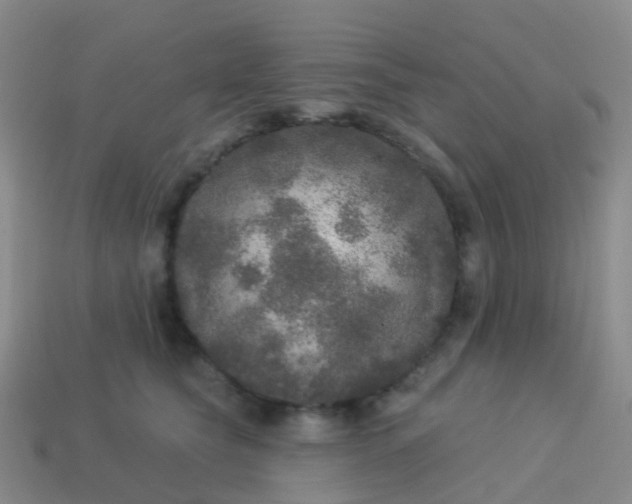 X0000113880565200910081749