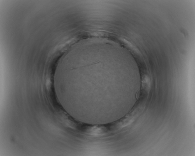 X0000113880566200910081749