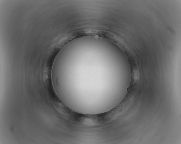 X0000113880567200910081749