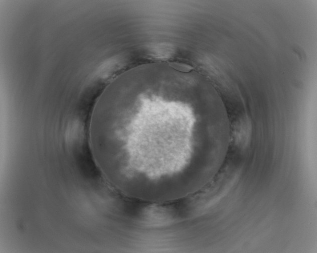 X0000113880568200910081749