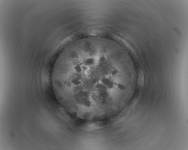 X0000113880569200910081749