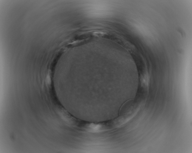 X0000113880570200910081749