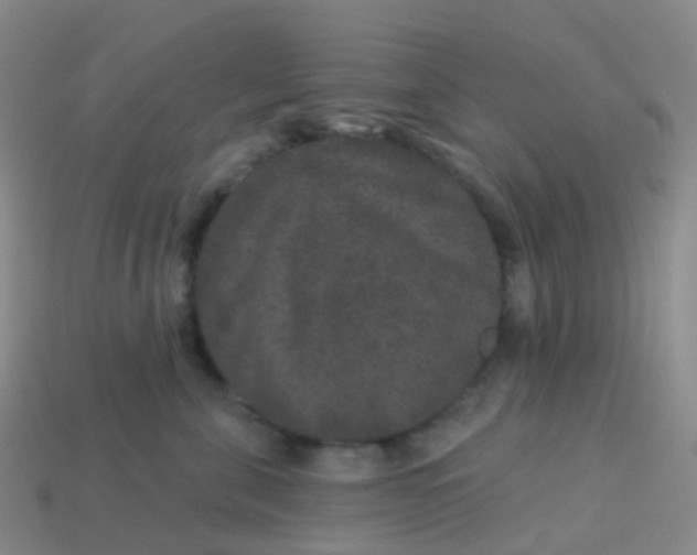 X0000113880571200910081749