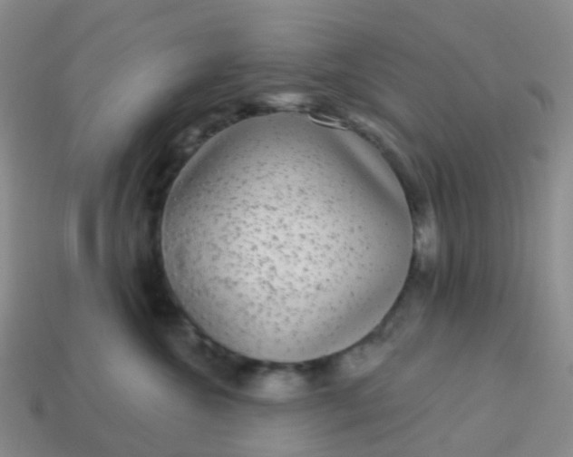 X0000113880572200910081749