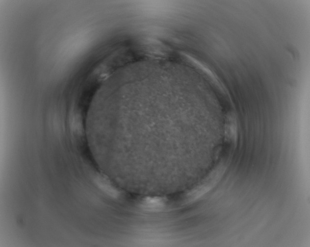 X0000113880573200910081749