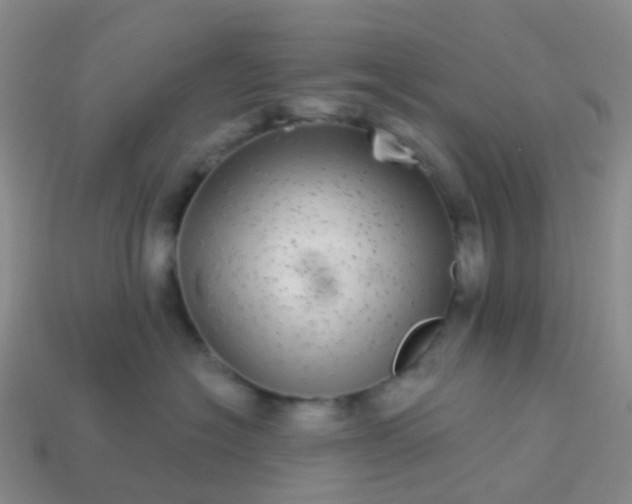 X0000113880574200910081749