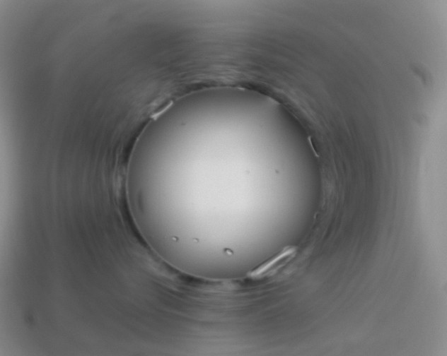 X0000113880576200910081749