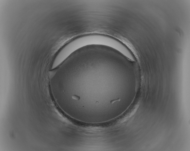 X0000113880577200910081748