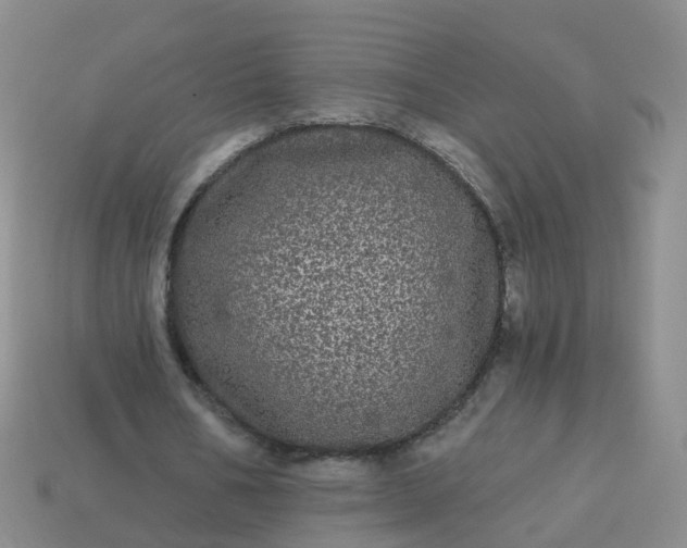 X0000113880578200910081748