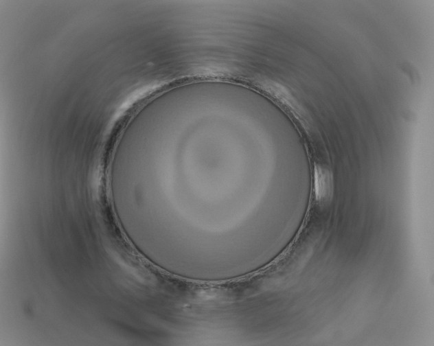 X0000113880579200910081748