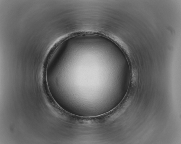 X0000113880580200910081748