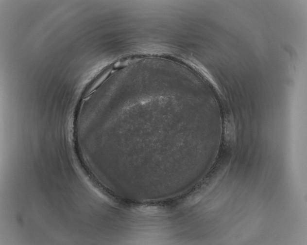 X0000113880581200910081748