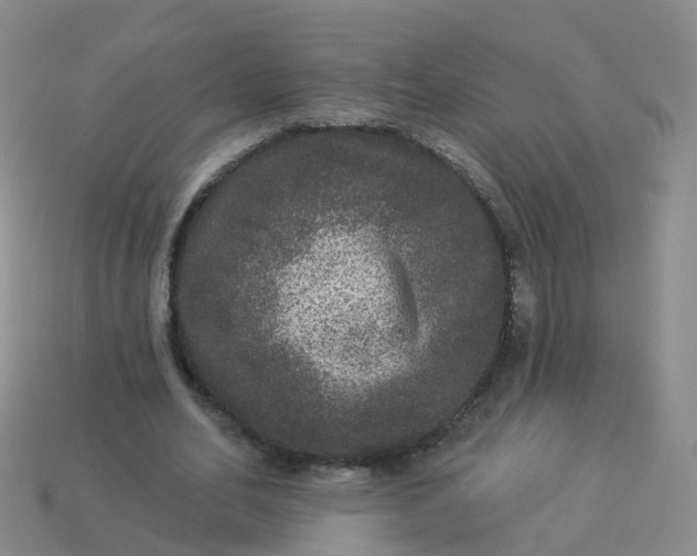 X0000113880582200910081748