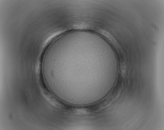 X0000113880583200910081748