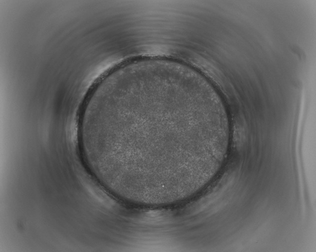 X0000113880584200910081748