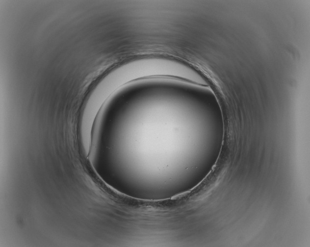 X0000113880585200910081748