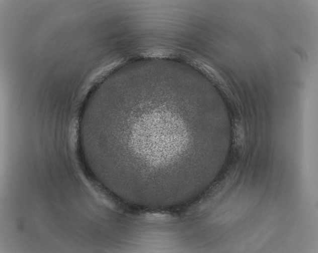 X0000113880586200910081748