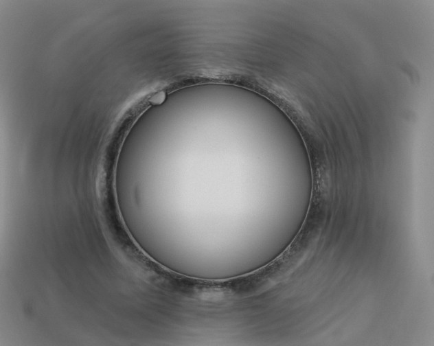 X0000113880587200910081748