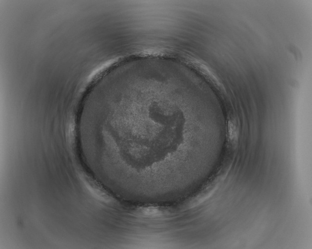 X0000113880588200910081748