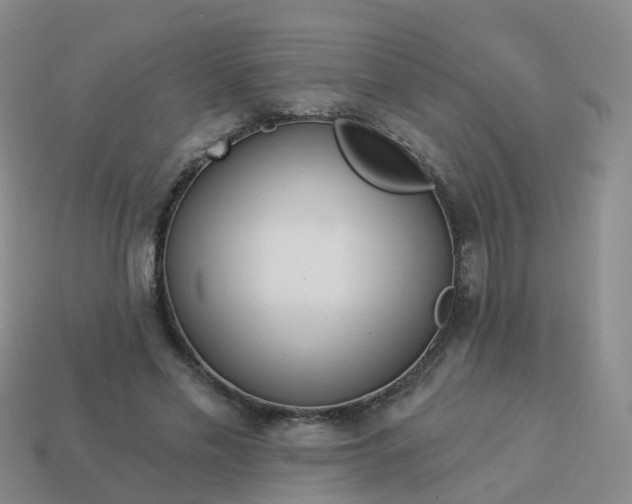 X0000113880589200910081748