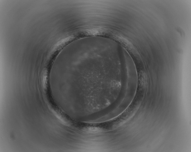 X0000113880590200910081748