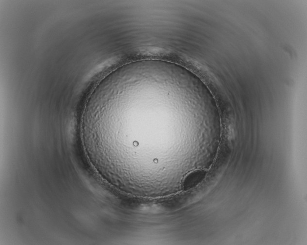 X0000113880591200910081748