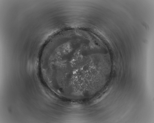 X0000113880592200910081748