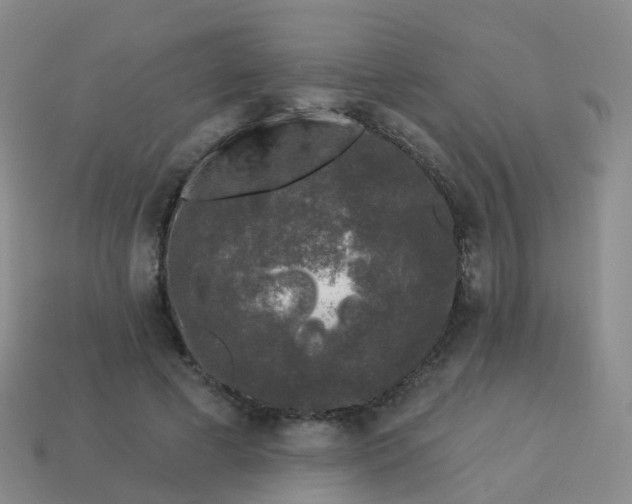 X0000113880593200910081748