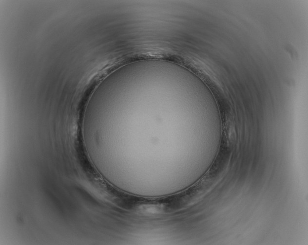 X0000113880595200910081748