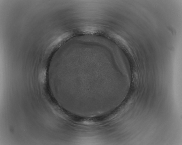 X0000113880596200910081748