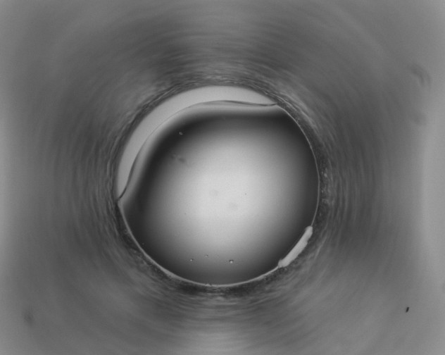 X0000113880597200910081748