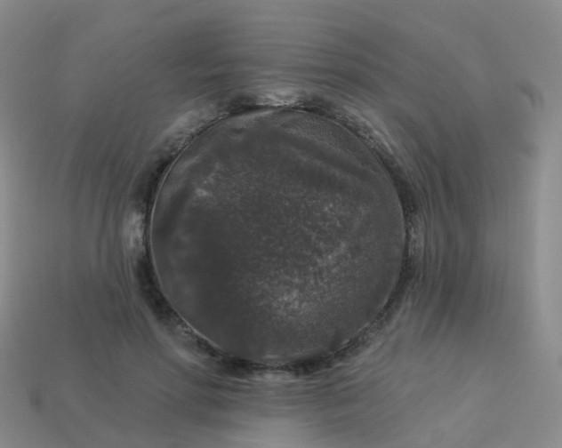 X0000113880598200910081748