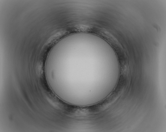 X0000113880599200910081748