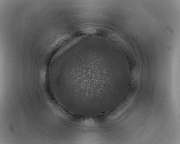 X0000113880600200910081748