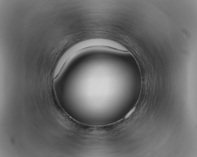 X0000113880601200910081748