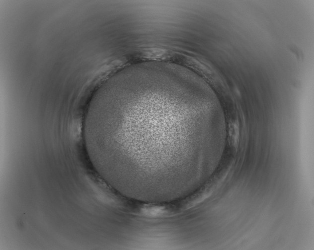 X0000113880602200910081748