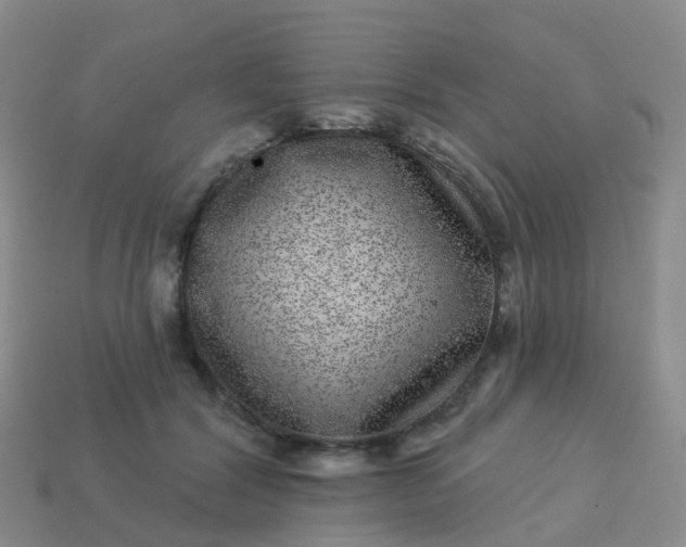 X0000113880604200910081748