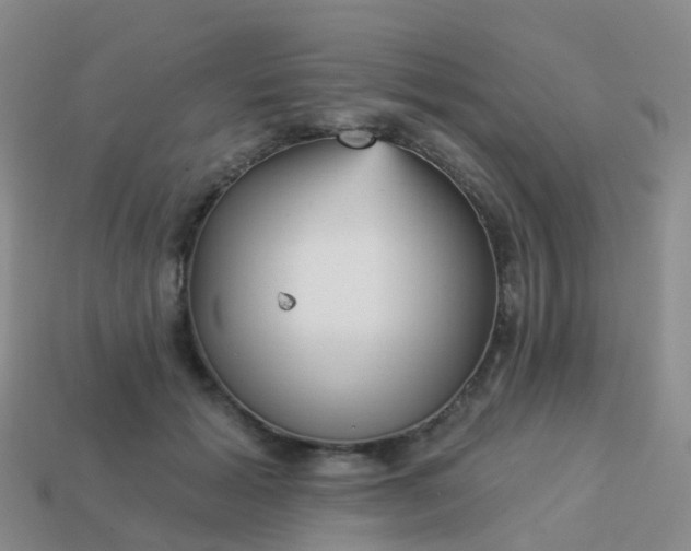 X0000113880605200910081748