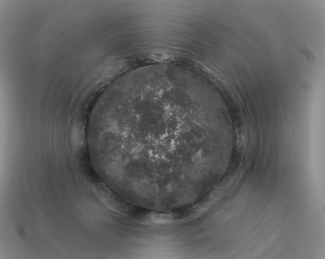 X0000113880606200910081748