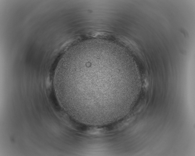 X0000113880607200910081748