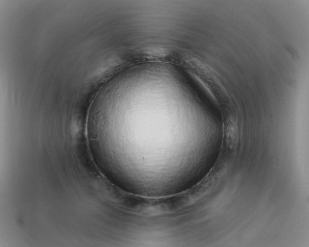 X0000113880608200910081748