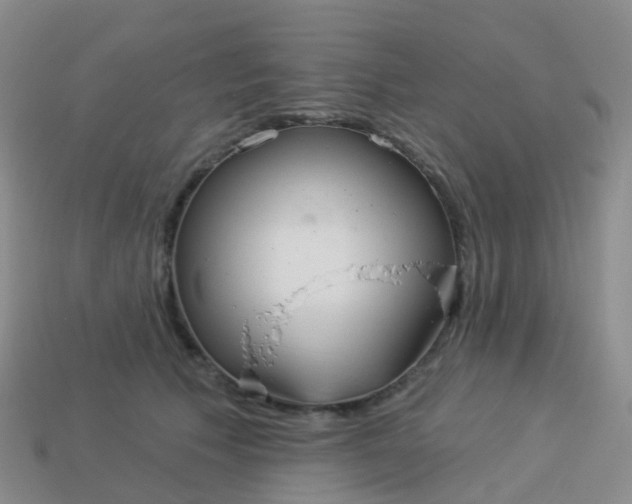 X0000113880609200910081748