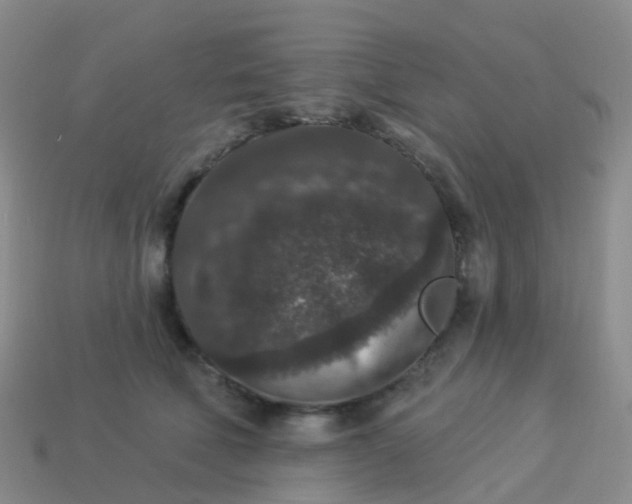 X0000113880610200910081748