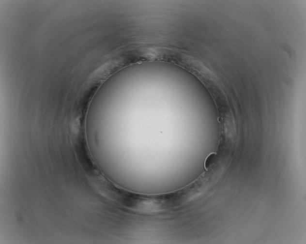 X0000113880611200910081748