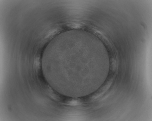 X0000113880612200910081748