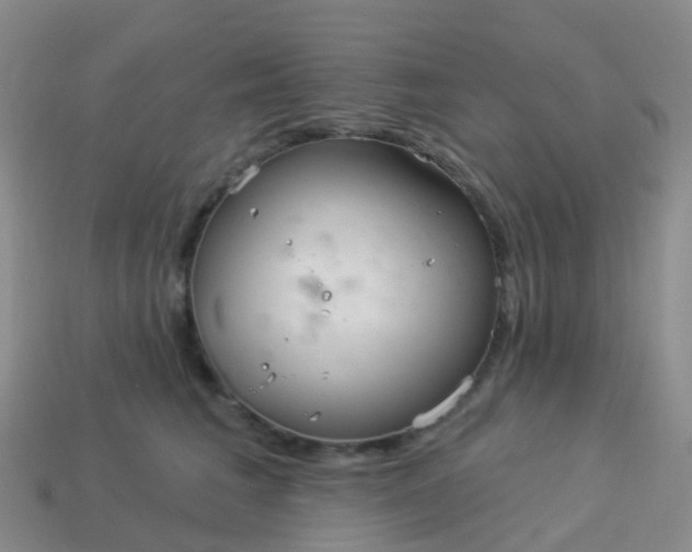 X0000113880613200910081748