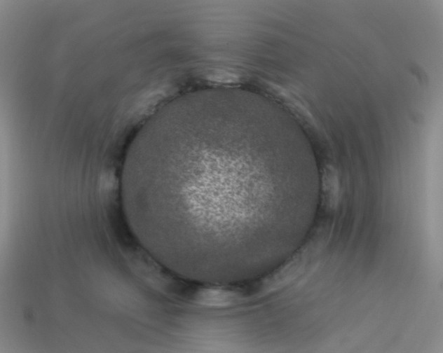 X0000113880614200910081748