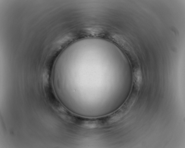 X0000113880615200910081748